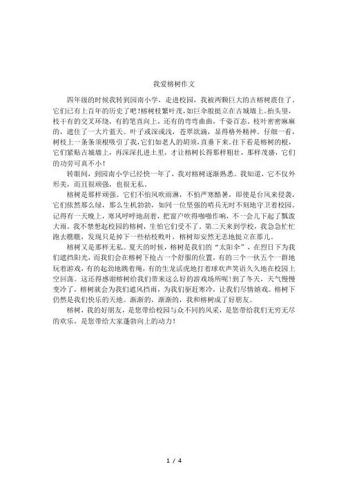 我爱榕树作文