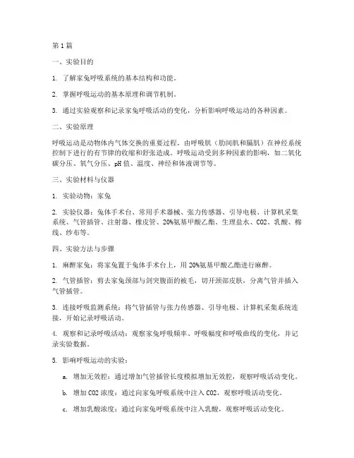 兔呼吸设计实验报告(3篇)