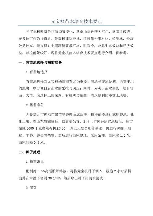 元宝枫苗木培育技术要点
