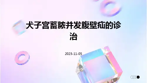 犬子宫蓄脓并发腹壁疝的诊治
