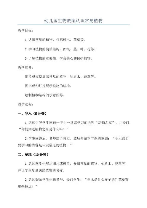 幼儿园生物教案认识常见植物