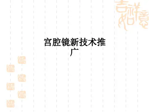 宫腔镜新技术推广ppt课件