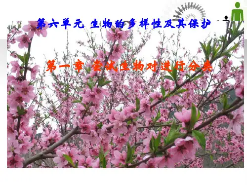 人教版生物八年级上册第六单元第一章第一节《尝试对生物进行分类》课件 (共15张PPT)