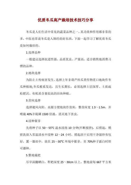 优质冬瓜高产栽培技术技巧分享