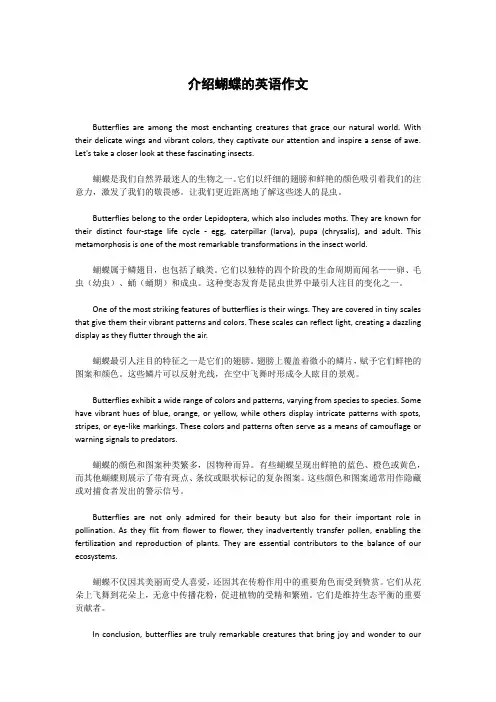介绍蝴蝶的英语作文