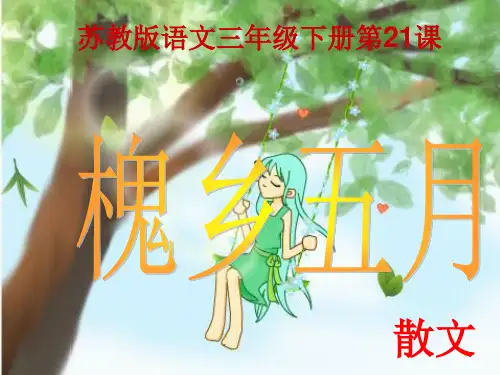 苏教版语文三年级下册《槐乡五月》