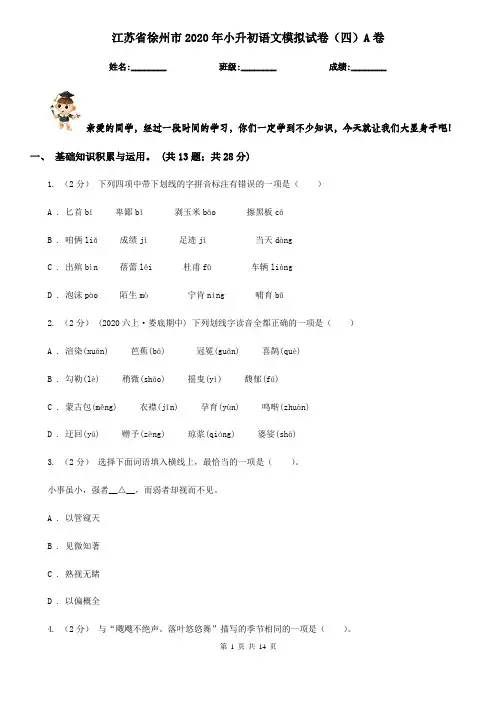 江苏省徐州市2020年小升初语文模拟试卷(四)A卷
