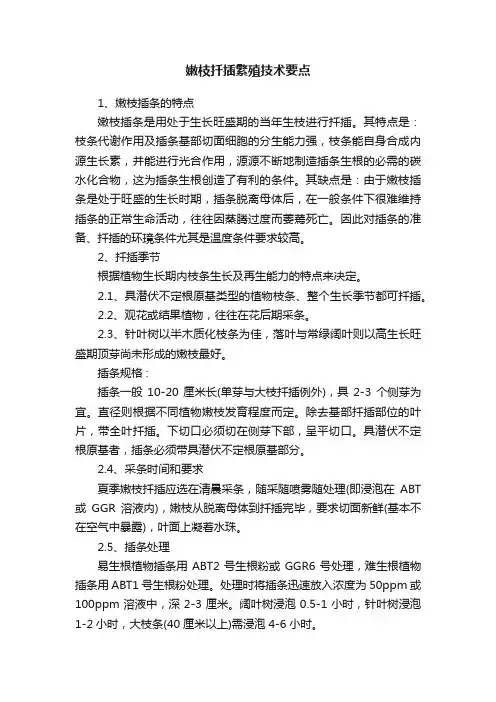 嫩枝扦插繁殖技术要点