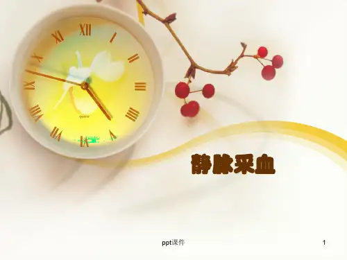 静脉采血  ppt课件