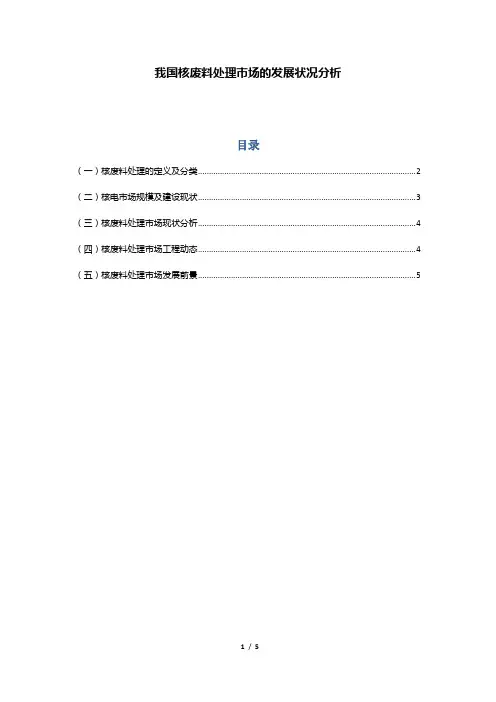 我国核废料处理市场的发展状况分析