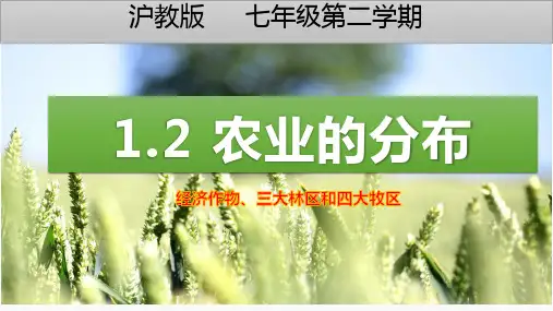 农业的分布(经济作物、三大林区和四大牧区的分布)(课件)七年级地理下册(沪教版)