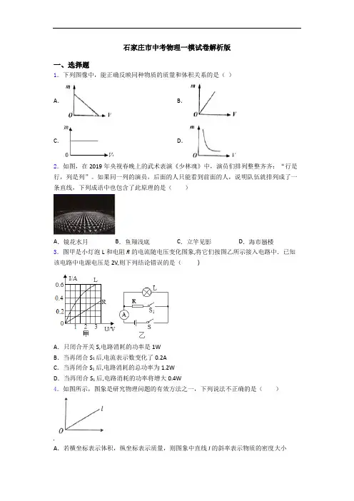 石家庄市中考物理一模试卷解析版