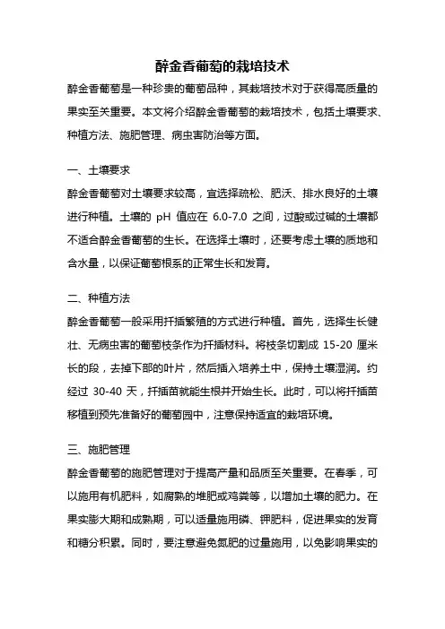 醉金香葡萄的栽培技术