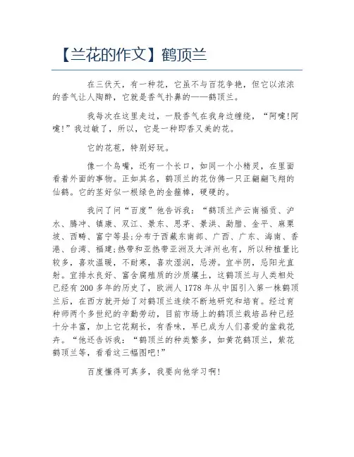 兰花的作文鹤顶兰