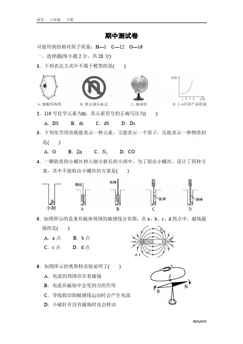 2020春浙教版八年级科学下册期中测试卷及答案