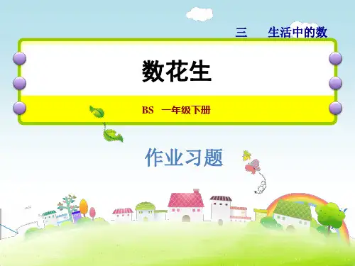 北师大版一年级数学下册《3.1 数花生》习题课件
