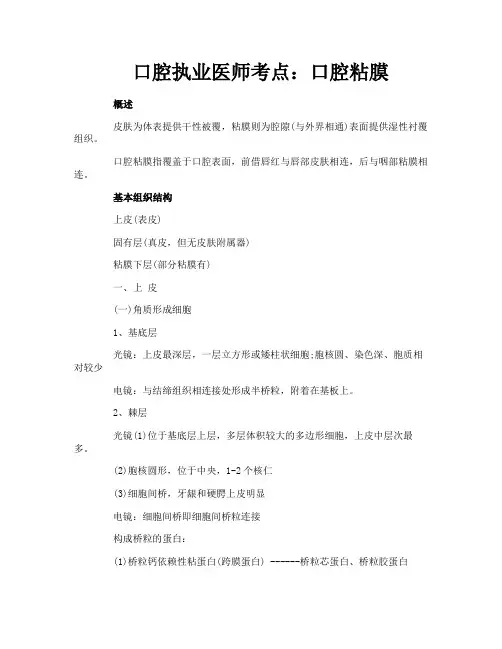 口腔执业医师考点：口腔粘膜