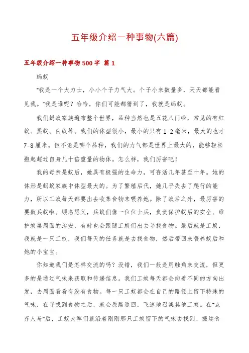 五年级介绍一种事物(六篇)