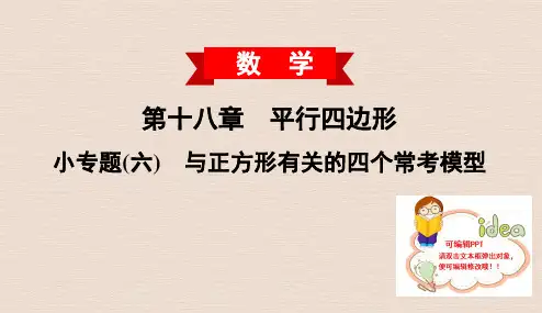 人教版小专题(六) 与正方形有关的四个常考模型