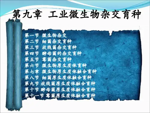 微生物杂交育种
