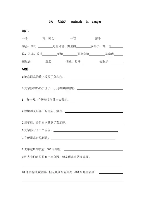六年级上册第五单元单词和句型