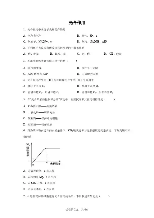 2023浙江高中学业水平合格考专题复习试题及答案解析：光合作用