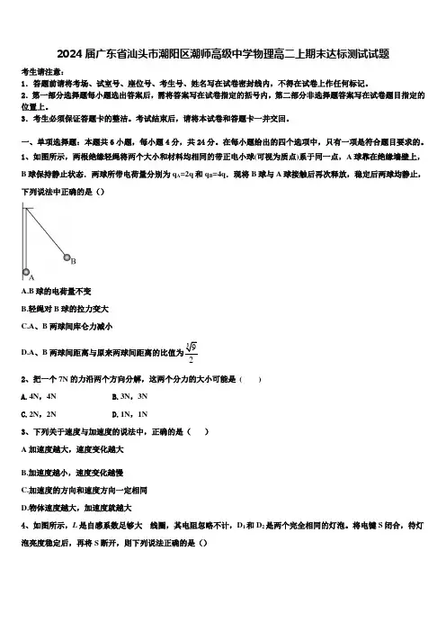 2024届广东省汕头市潮阳区潮师高级中学物理高二上期末达标测试试题含解析