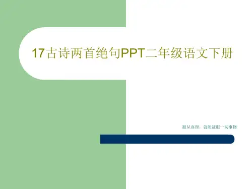 17古诗两首绝句PPT二年级语文下册共22页文档