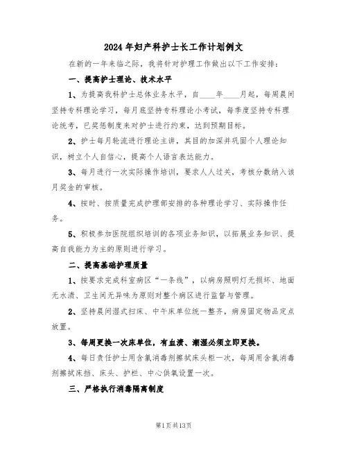 2024年妇产科护士长工作计划例文（4篇）