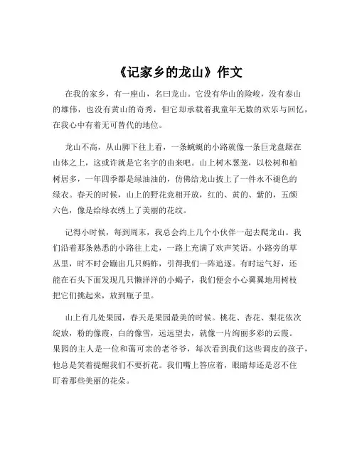《记家乡的龙山》作文