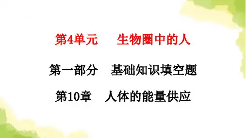 北师大版七年级生物下册第10章人体的能量供应课件