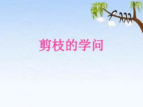 小学三年级下学期语文《剪枝的学问》PPT课件