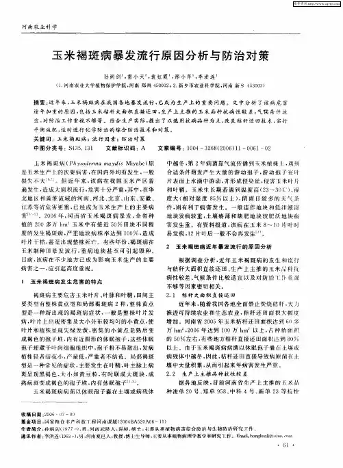 玉米褐斑病暴发流行原因分析与防治对策