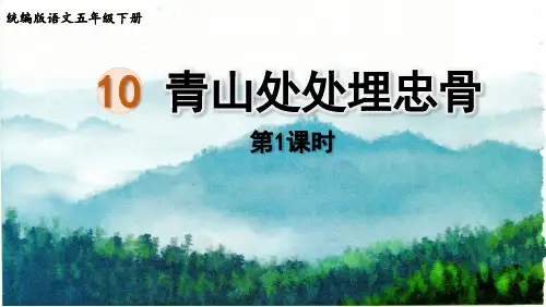 统编版语文五年级下册第10课《青山处处埋忠骨》精品课件