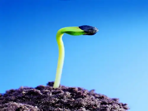 高考语文专题压缩语段(包括新闻)