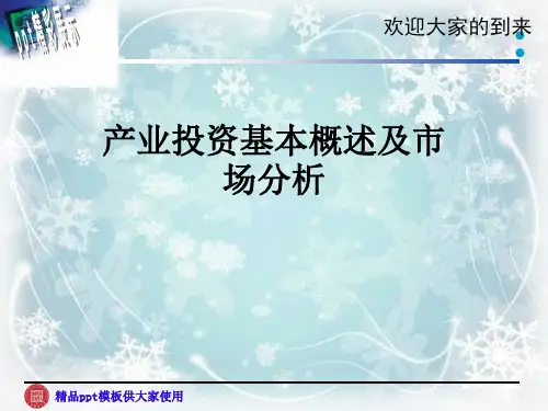 产业投资基本概述及市场分析