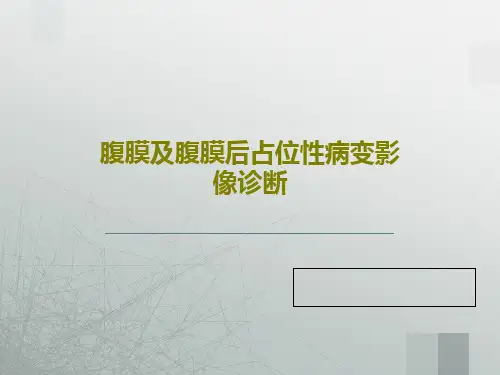 腹膜及腹膜后占位性病变影像诊断46页PPT