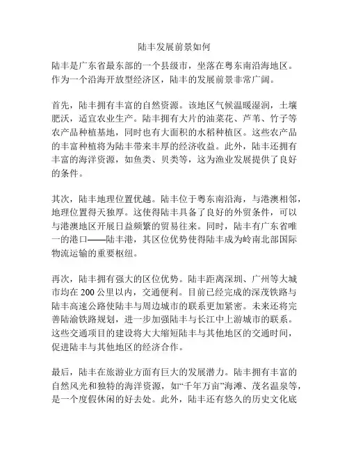 陆丰发展前景如何