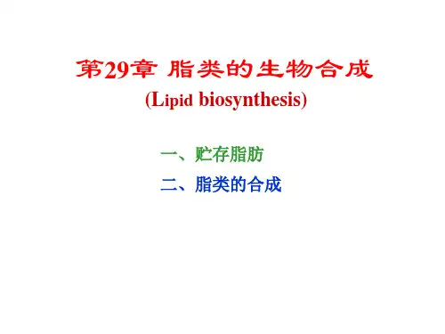 生物化学第29章脂类的生物合成