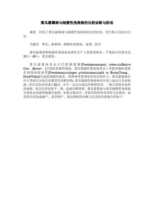 黄瓜霜霉病与细菌性角斑病的比较诊断与防治