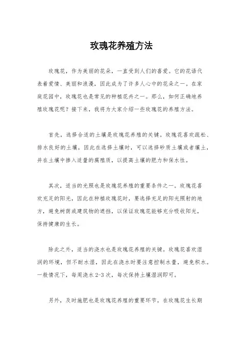 玫瑰花养殖方法