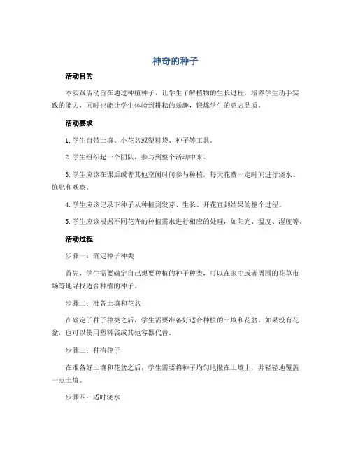 《神奇的种子》(教案)2022-2023学年综合实践活动三年级下册