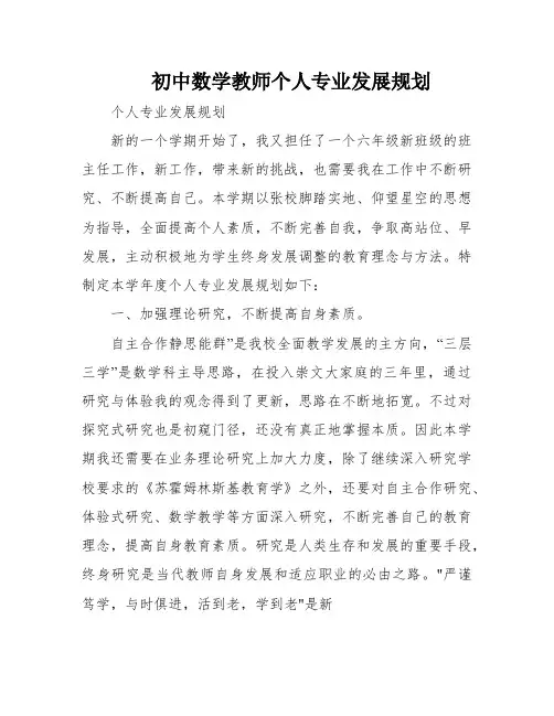 初中数学教师个人专业发展规划