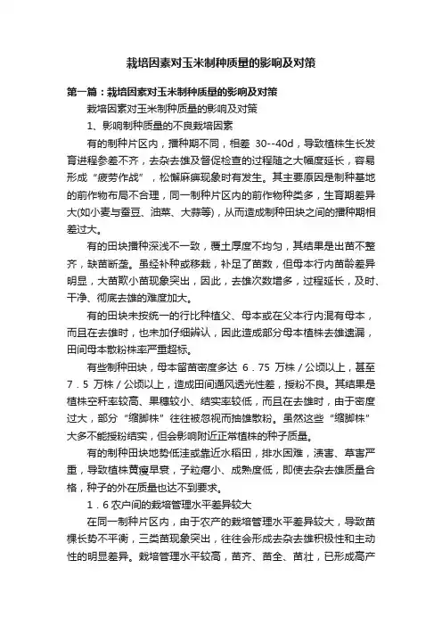 栽培因素对玉米制种质量的影响及对策