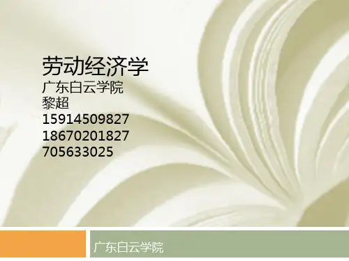 劳动经济学课件 劳动力供给