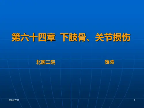 下肢骨关节损伤PPT课件