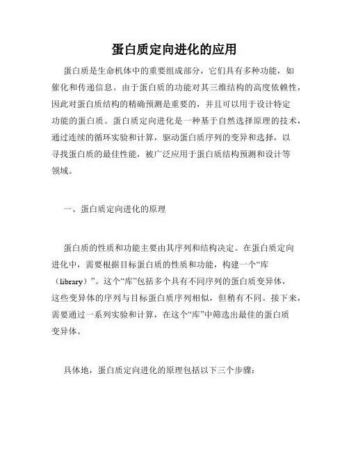蛋白质定向进化的应用