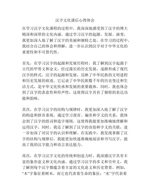 汉字文化课后心得体会