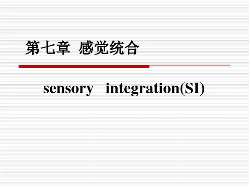 感觉统合与感觉统合失调ppt课件
