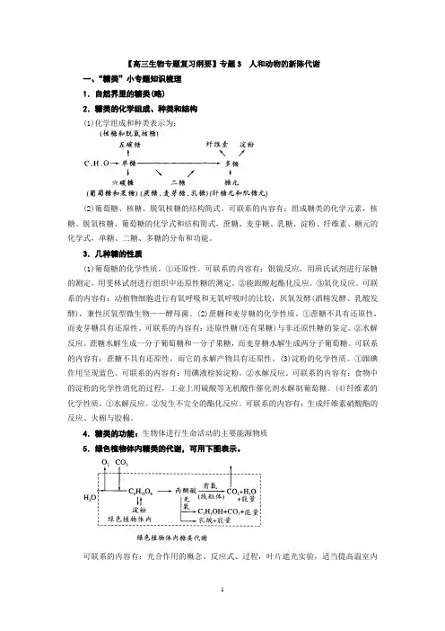 【高三生物专题复习纲要】专题3_人和动物的新陈代谢